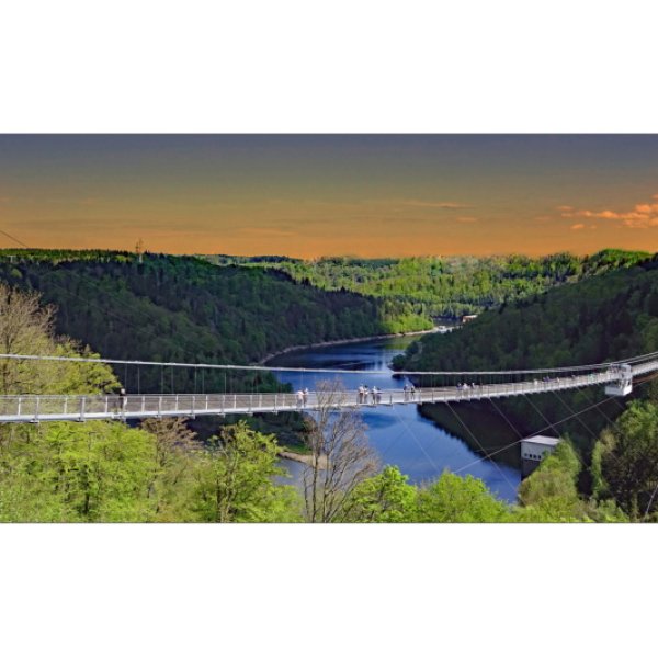 Wolfgang Teuber "Hängebrücke Harz"